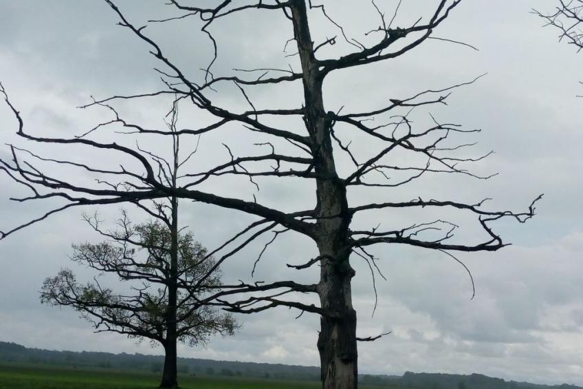 Ländlicher Tourismus - foto 23