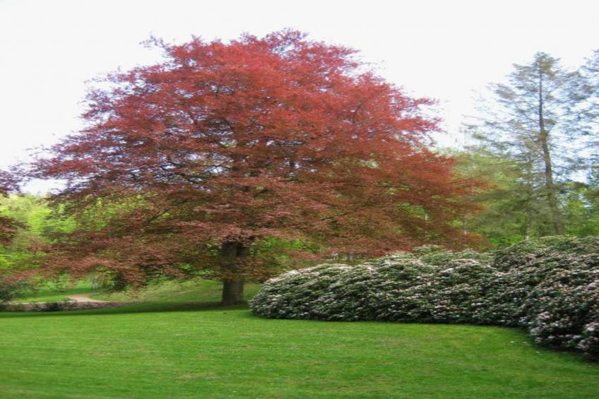 Bad Elster - foto 29