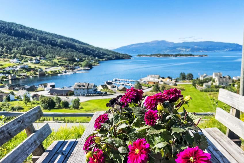 Rød Hytte (FJH774) - foto 33