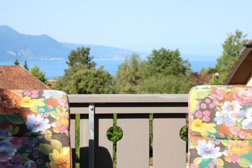 Les Narcisses,Blonay - foto 21