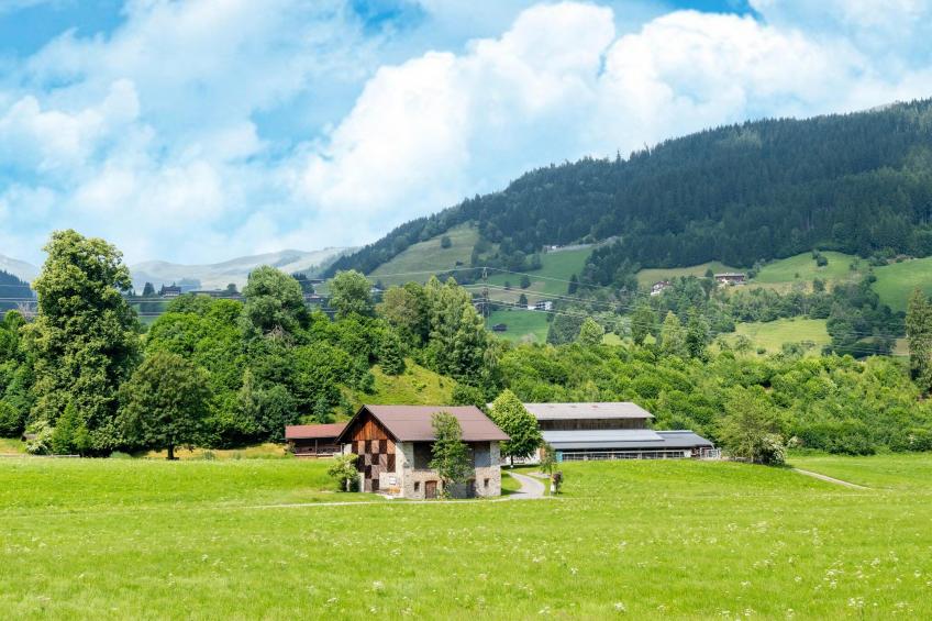 Penthouse Fuchs 1 - foto 35