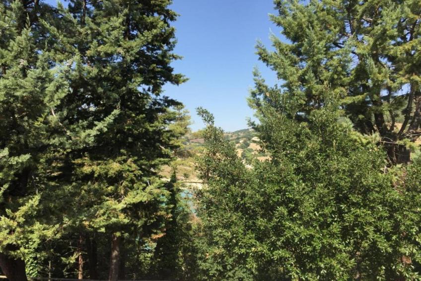 Binnella 10 - foto 24