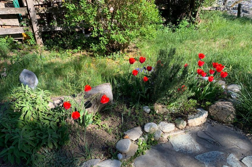 Malu in Ausserberg - foto 14