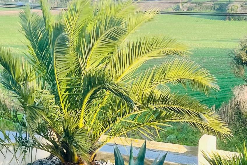 Villa Tante Alice  Meerblick Komfort Villa Alleinlage mit Aufzug Jacuzzi Dampfb - foto 19