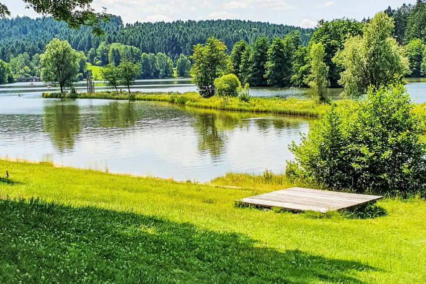 Gemütliche Ferienwohnung mit Blick auf die Donau - foto 12