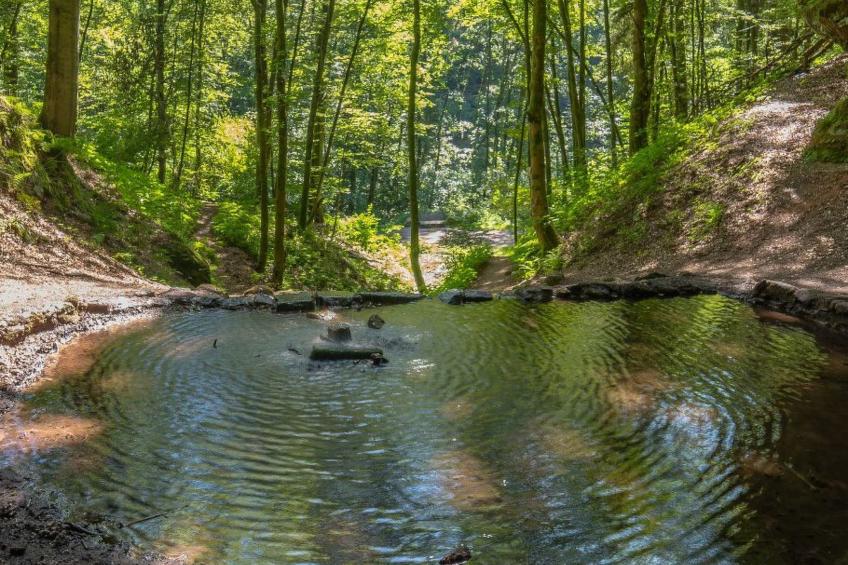 Gemütliches Ferienhaus mit Garten - foto 10