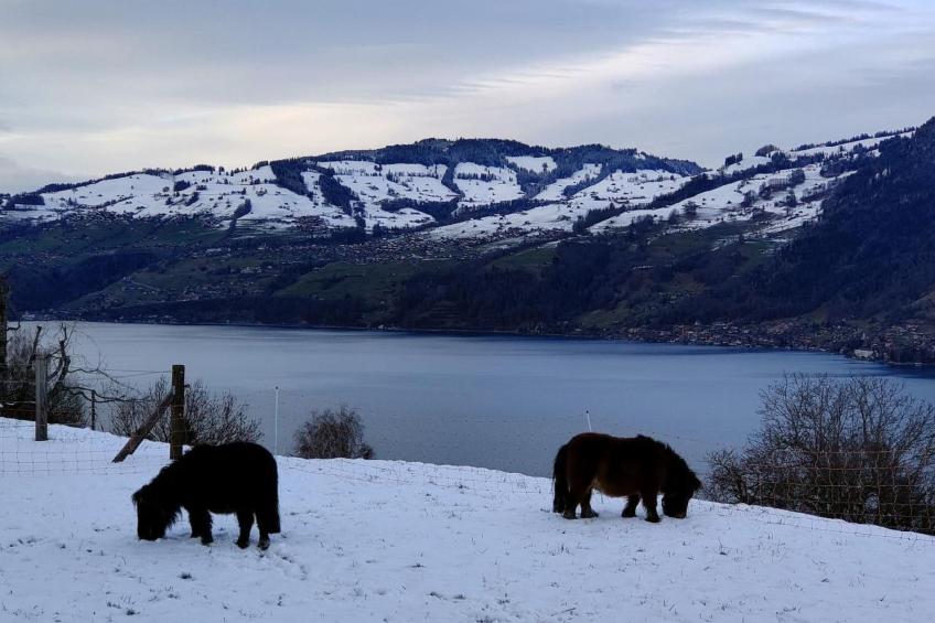 Traumblick Krattigen - foto 41