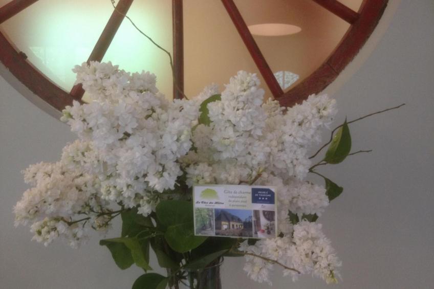 Le Clos du Hêtre - foto 31