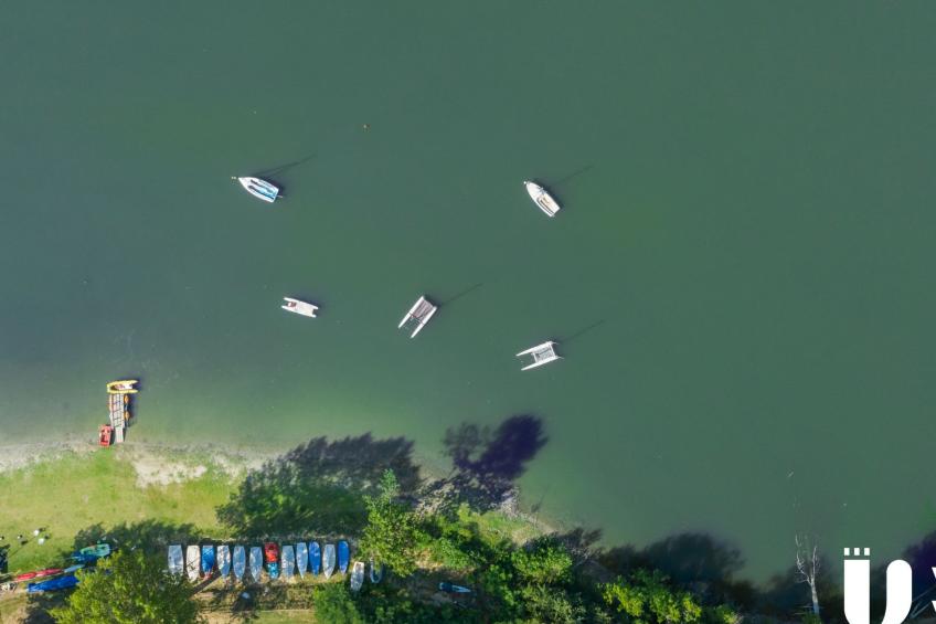 Flache Linde - foto 14