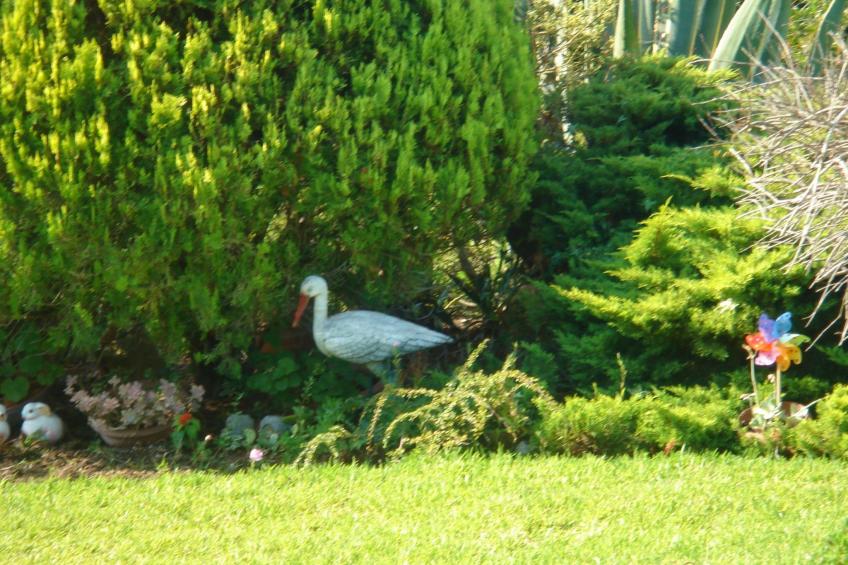 Aus dem Garten direkt an den Strand - foto 16