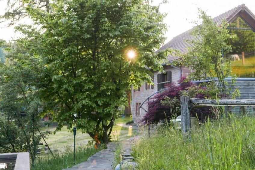 in Walscheid mit Terrasse, Grill - foto 67