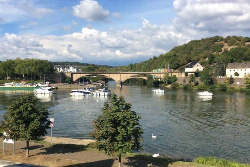 Einzigartige Lage direkt Mosel und Radweg. - foto 17