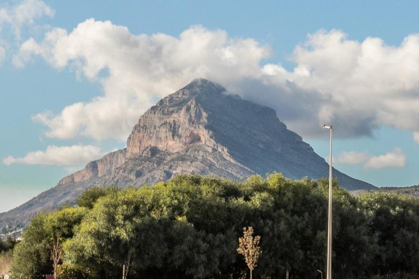Bardisa del Arenal - foto 15