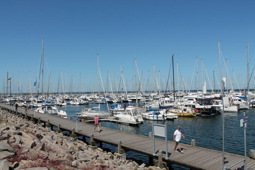 Im Grünen - foto 11