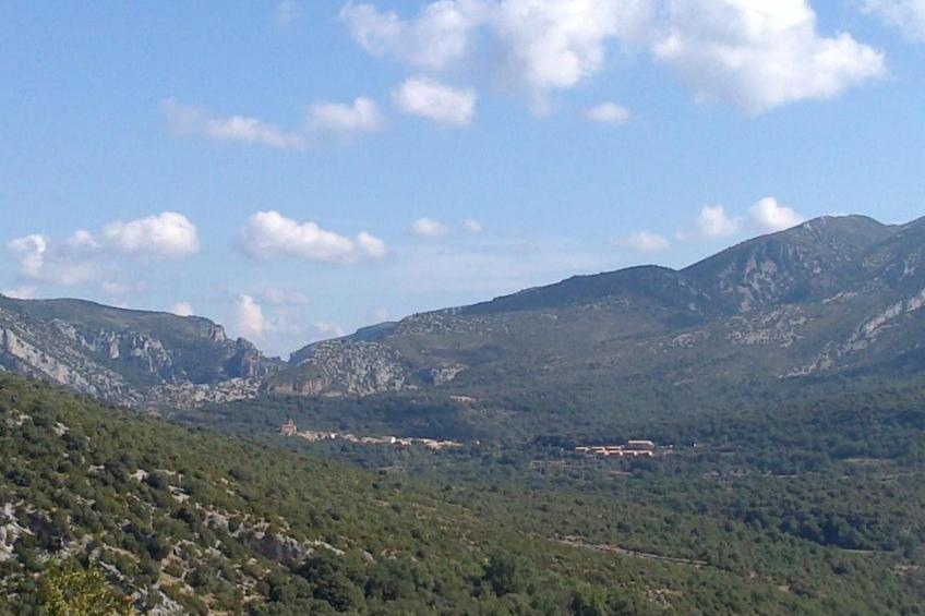 Javier Haus - foto 23