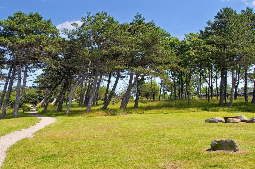 3 room,1 bath,Premium - foto 47