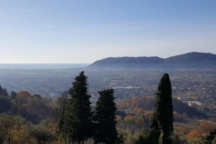 mit Wasserblick - foto 8