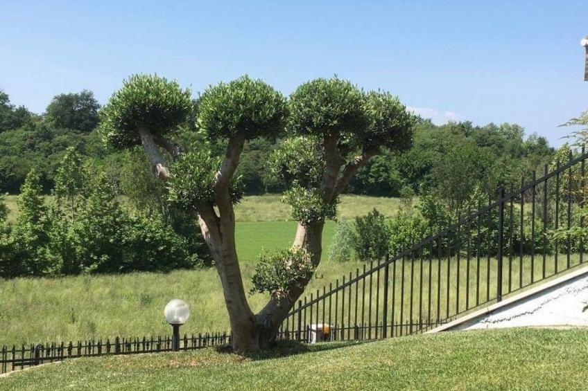 'Villa Panoramica - foto 18