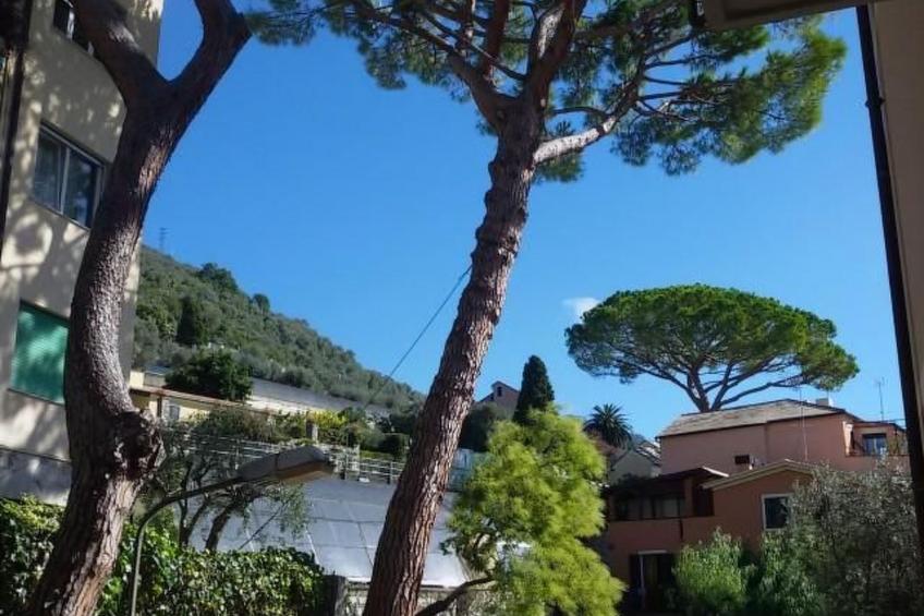 Gemütliche Wohnung in Bogliasco und Panoramablick - foto 11