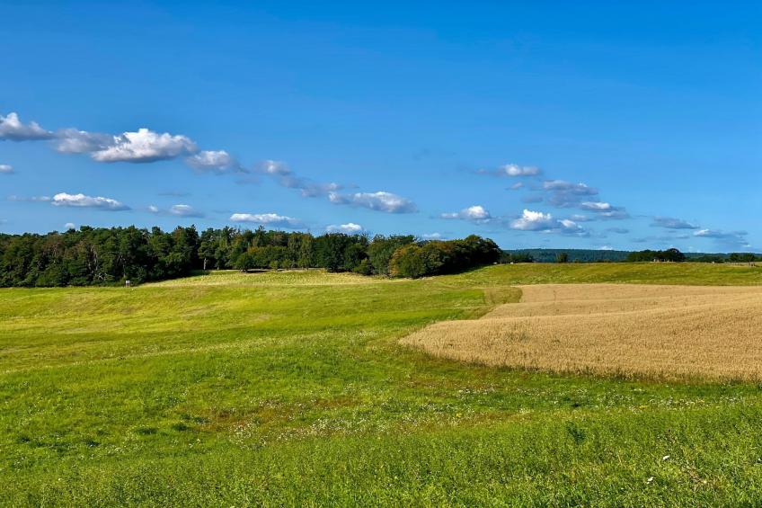 Single Room - foto 35