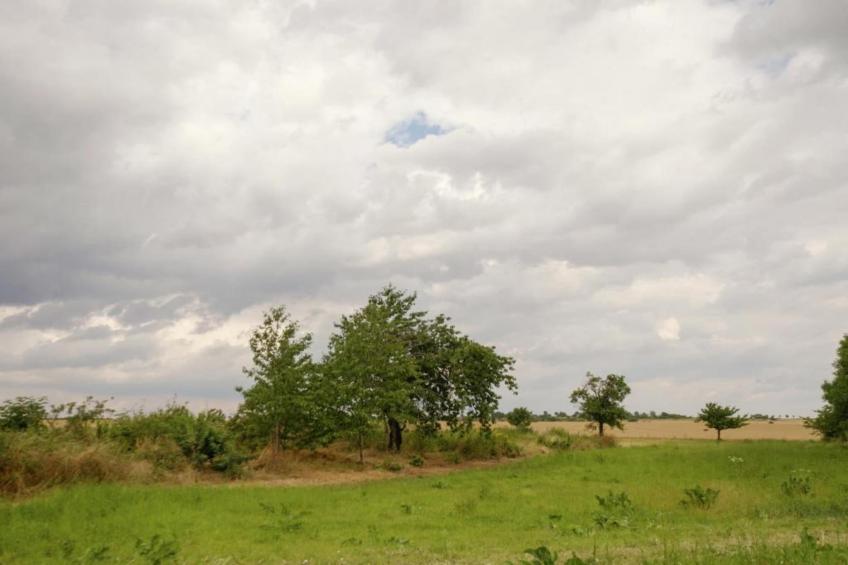 Meisdorf I - foto 30