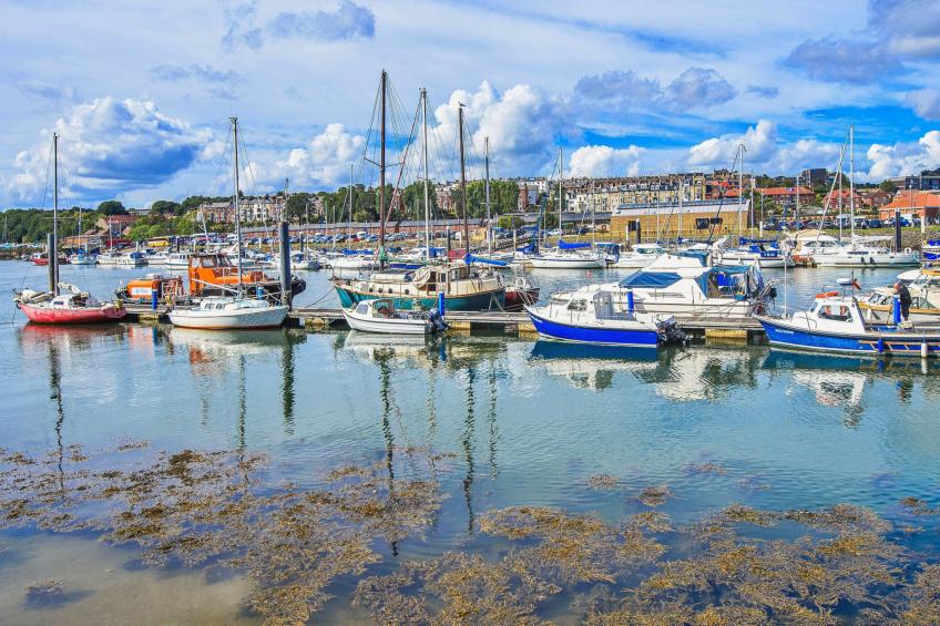 Ukulele Cottage - foto 22