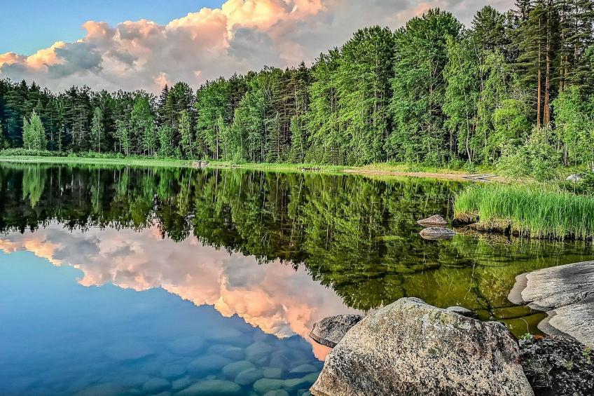 Le club 44 - foto 11