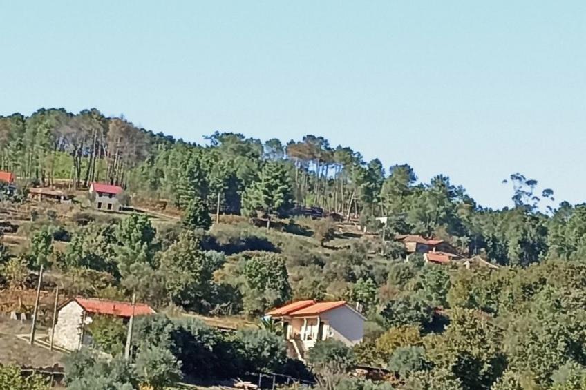 Ferien auf dem Bauernhof mit Weinberg - foto 41