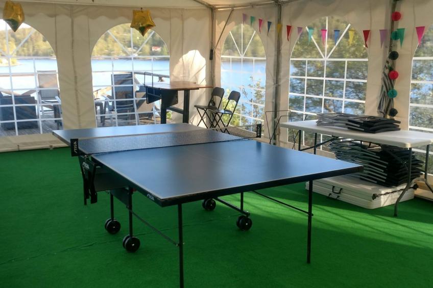 Schwedisches Glück, zwischen Wäldern und einem See - foto 86