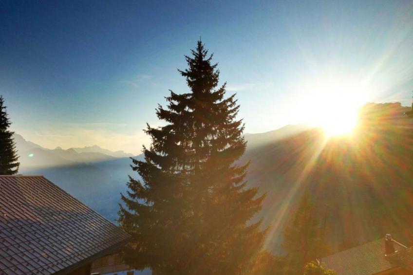 Chalet Bärgblüemli - foto 2