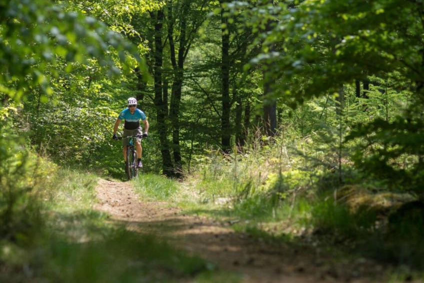 De Douglas - foto 20