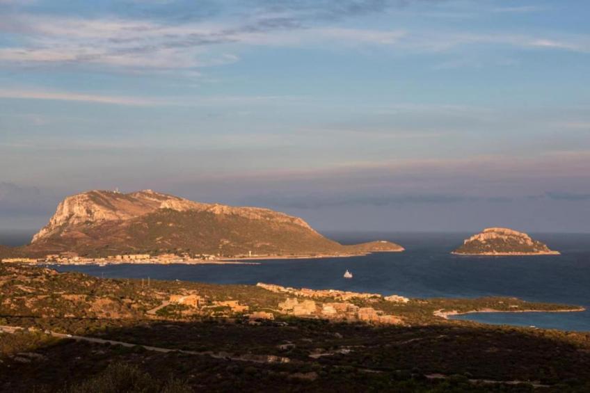 Cugnana Verde Bilo 4 BIS - foto 37