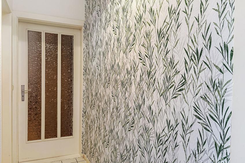 Alexorella (GDR105) - foto 21