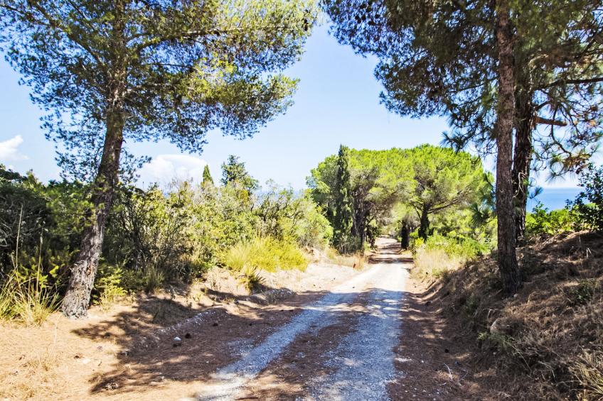 Cantinone 3 - foto 19