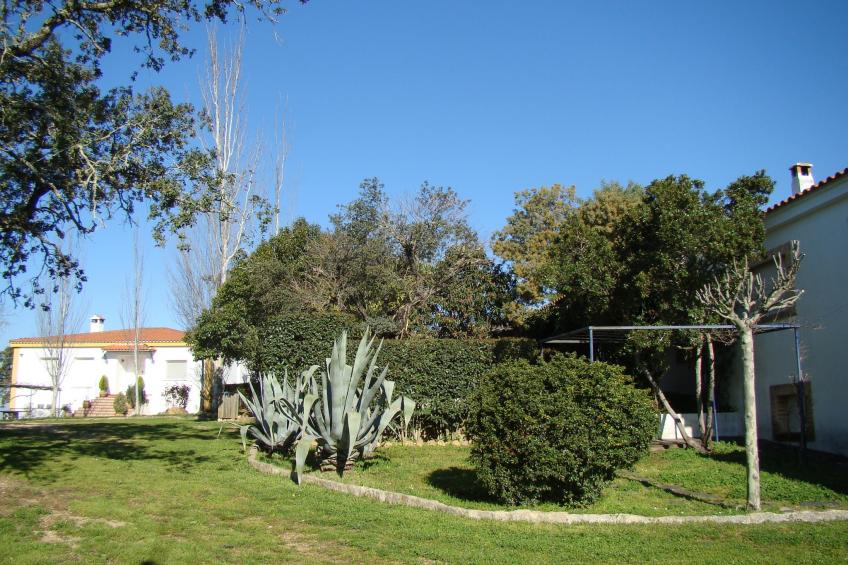 La Romera - foto 10