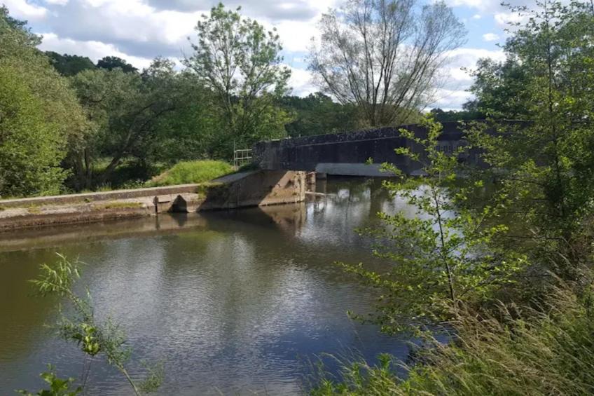 Am Ferienhof - foto 19