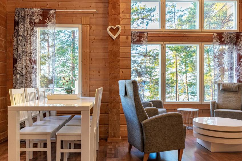 Näsinjoutsen - foto 7