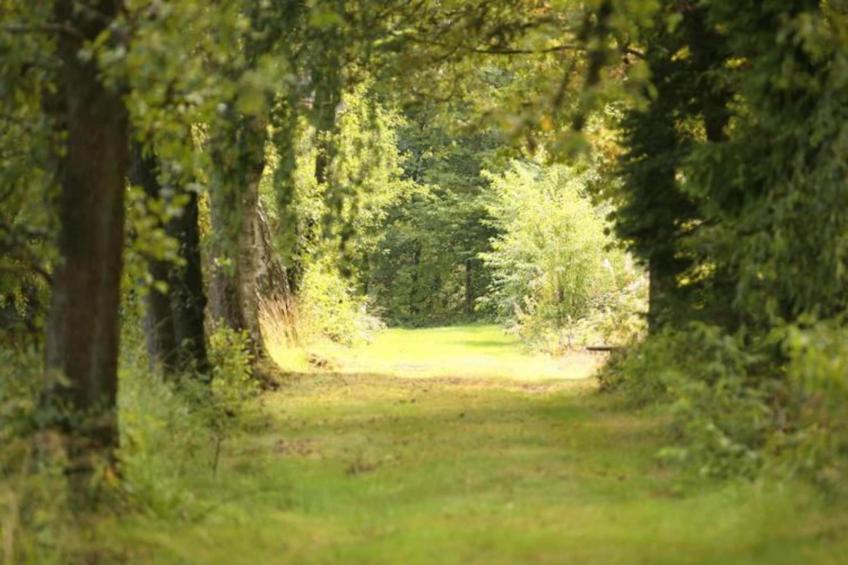 Les Sittelles - foto 34