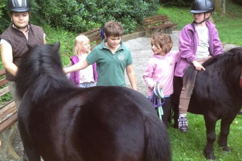 Wohnung in Unterharmersbach mit Garten und Grill - foto 6