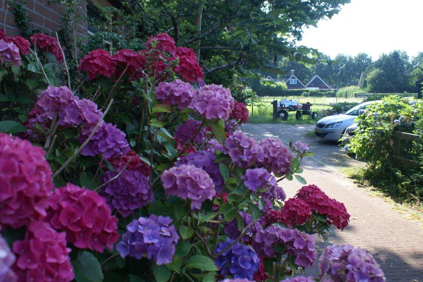 Geschmackvoll eingerichtetes Bauernhaus aus dem 19. - foto 34