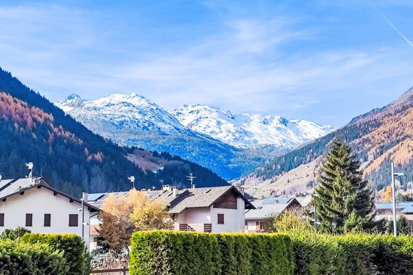 The Silent Sylva - foto 5