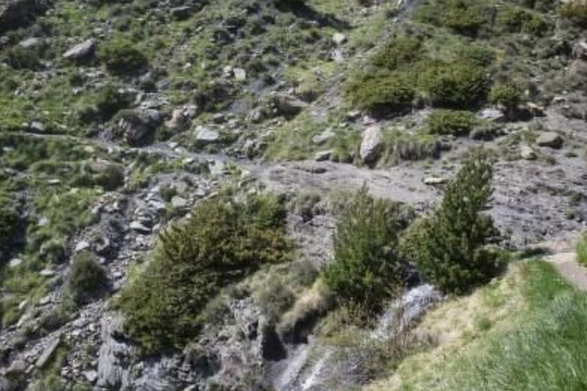 Appartement mit Terrasse - foto 35