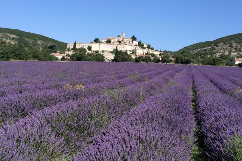 L ancien Hôtel Creste - foto 36