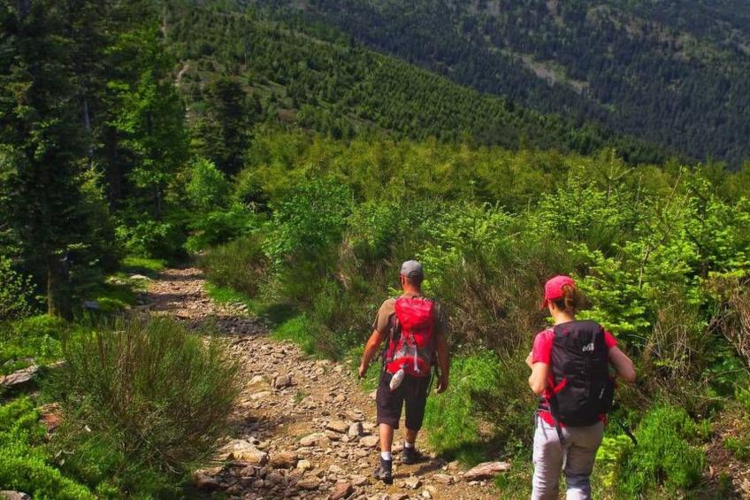 Die Ufer der Rhone - foto 17