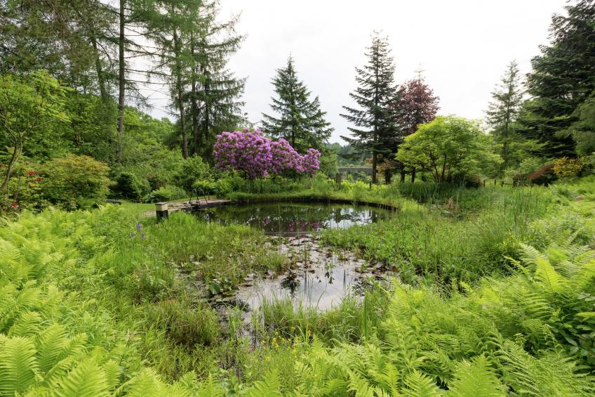 Le Jardin des Eaux - foto 26