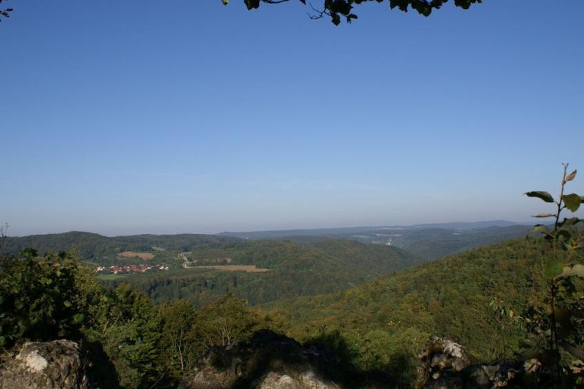 229320 - foto 15
