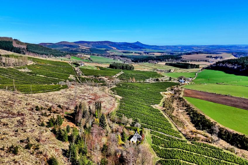 Corrennie School Cottage - foto 2