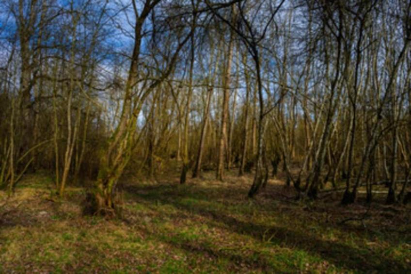 Feriendorf Natur pur - foto 25