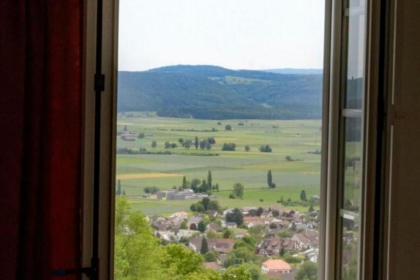 Berghof Hallau kleine Ferienwohnung - foto 16
