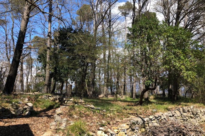 Mago in Ameglia - foto 11